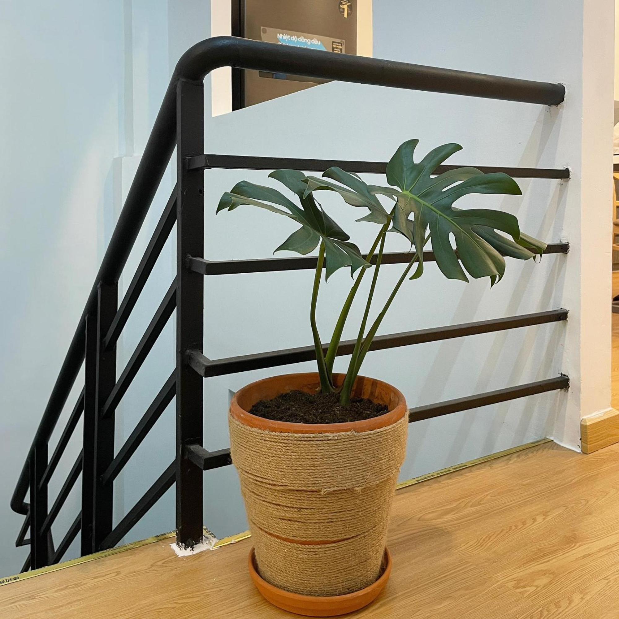 Alphabet Home Capsule Ho Chi Minh City Exterior photo